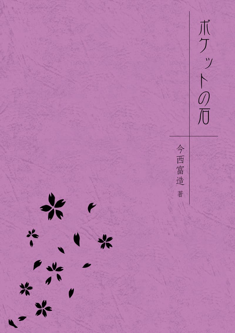 ポケットの石