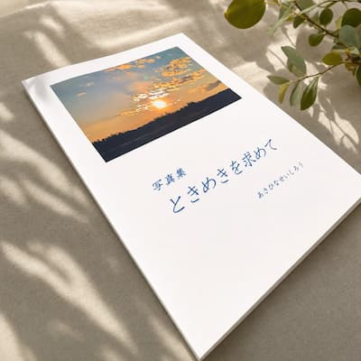ときめきを求めての中身